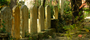 Old stone gravestones lined up in a row, surrounded by trees and greenery in a cemetery—a peaceful scene often explored during Beaufort NC historic tours.