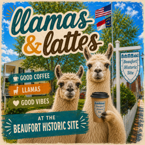 Two llamas, one holding a coffee, in front of a Beaufort Historic Site sign with US and NC flags in the background.