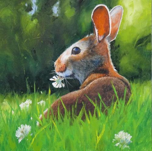 Bunny in a Clover Patch, 12x12, Oil, $245